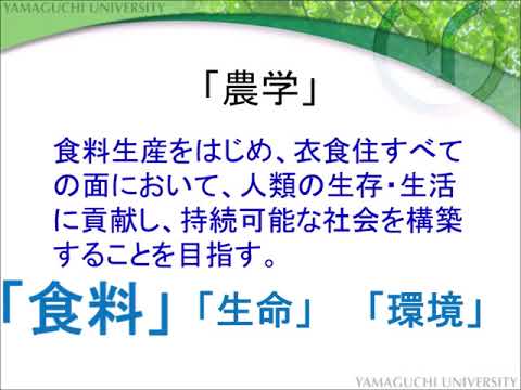 【山口大学OC2024／農学部】農学部の紹介