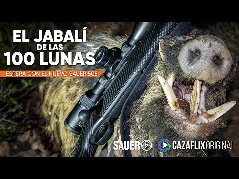 🐗 EL JABALÍ DE LAS 100 LUNAS | CAZA en espera con el nuevo SAUER 505