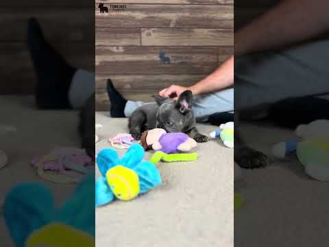 Video 3