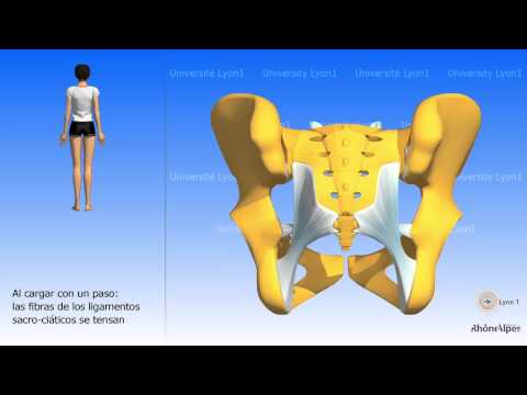 Video fisioterapia cervicale e toracico Articolazioni della spalla cisti