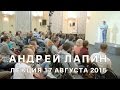 Андрей Лапин 2015 лекция 17 августа 