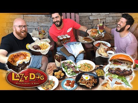 YouTube video about: Does lazy dog have a dog menu?