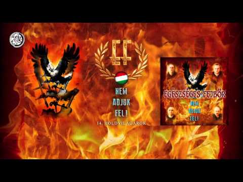 Egészséges Fejbőr - Holdvilágárok (Hivatalos szöveges video / Official lyric video)