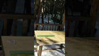 HEALING TIME in forest