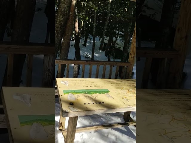 HEALING TIME in forest