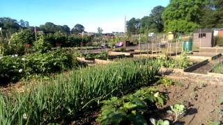preview picture of video 'Stewarton Allotments - June 30th 2014'