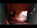 Deerhoof - Future Teenage Cave Artists (Official Lyric Video)