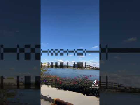 If I Didn’t Care - The Ink Spots