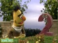 Sesame Street Calling All Pigeons With Bert