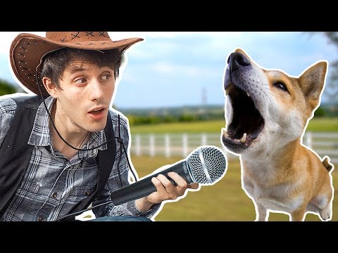 Remaking OLD TOWN ROAD With 100 Dogs.