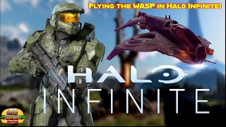 Flying A Wasp in HALO INFINITE to defeat WRITH KUL! (Xbox Series X)