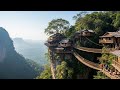 Life In A Treehouse Village The Dangerous Journey To Harvest Wild Honey