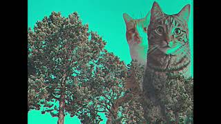 Jeffrey Runnings - Heretofore (Official Video)