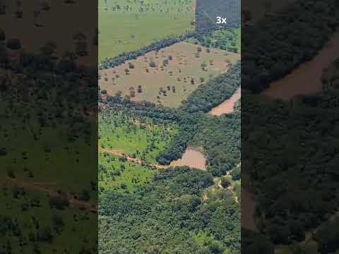 Morro da Garça Minas Gerais #shorts