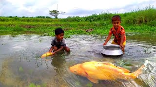 Amazing Boys Catching Fish By Hand In the village pond|Amazing Fishing video|Big Fishing By Hand
