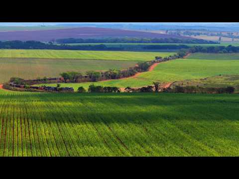 QUE FORÇA DESSE TREM! CARREGADO COM SORGO PESADO E ACELERAÇÃO MÁXIMA VISTOS PELO DJI MAVIC 4 PRO