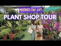 Mother S Day Plant Shop Tour Exploring Mother S Day Plants Gift A Green Walking Tour
