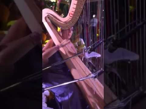 Promotional video thumbnail 5 for Chiara Capobianco harpist for events