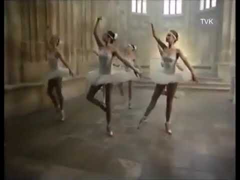 Václav Patejdl a Heidi Janků