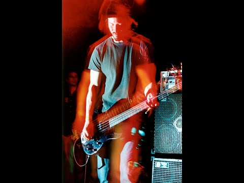 Swim - Dogstar