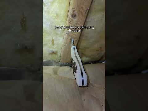 You need a home inspection #funny #us #home #homeinspection