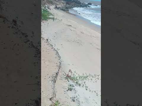 ATAFONA SÃO JOÃO DA BARRA RJ FEVEREIRO AVANÇO DO MAR