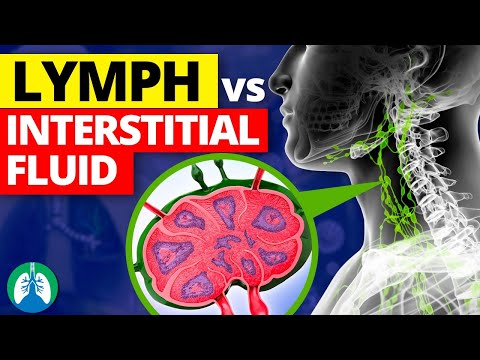 Lymph vs. Interstitial Fluid | What's the Difference?