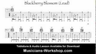 Blackberry Blossom - Twin Banjos