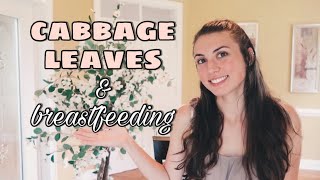 How to Use Cabbage Leaves for Engorgement, Mastitis, Weaning from a Postpartum Doula