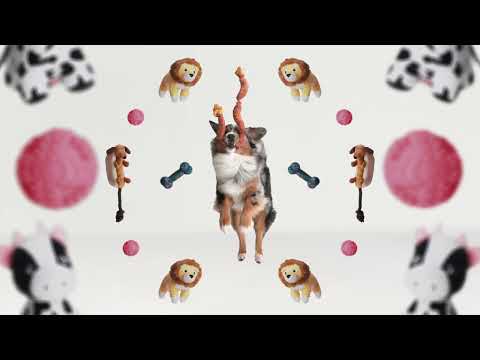 Kmart Low Prices For Life