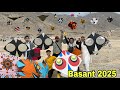 OMG Pakistan Ki Basant India Ko Pechy Chor Gai World Record