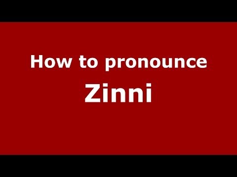How to pronounce Zinni