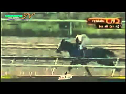 la rinconada 10 carrera domingo 25 de mayo del 2014