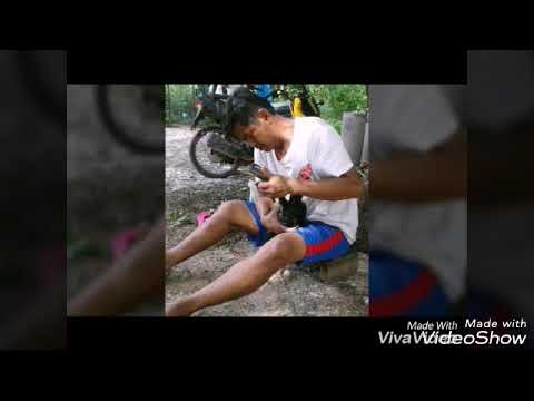 ภูมิแพ้แพ้ผิวหนังอักเสบ โรคสะเก็ดเงินที่เล็บน้ำมัน