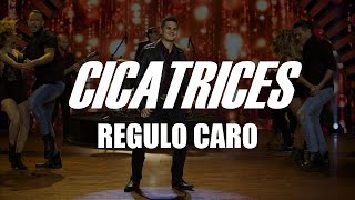 (LETRA) Cicatrices - Regulo Caro