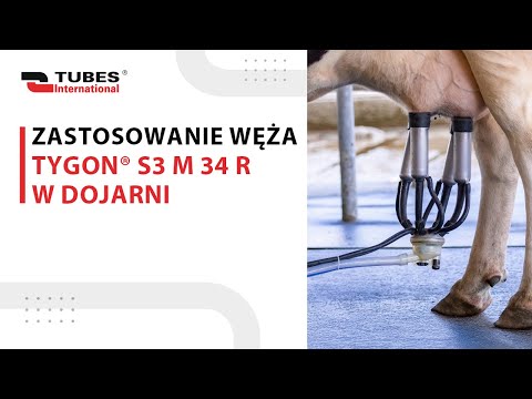 Praktyczne zastosowanie węża Tygon® S3 M 34 R w dojarni - zdjęcie