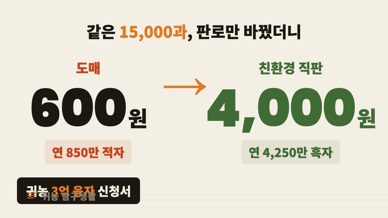 600원이냐 4,000원이냐 — 3억 신청서를 AI로 쓰며 정한 갈림길들 (결과는 아직 모릅니다)