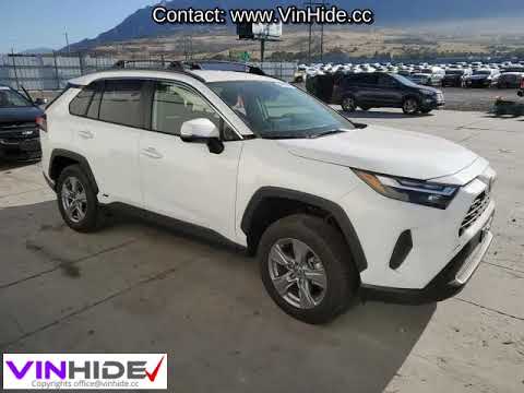 VIN: JTMRWRFV6SD280029 - 2025 Toyota RAV4- Xle