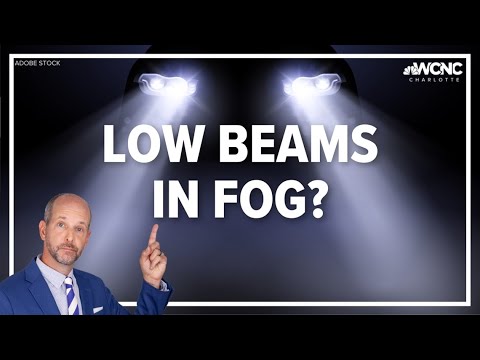 Driving in the fog? Use your low beam headlights for safety