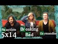 Breaking Bad - 5x14 Ozymandias - Group Reaction