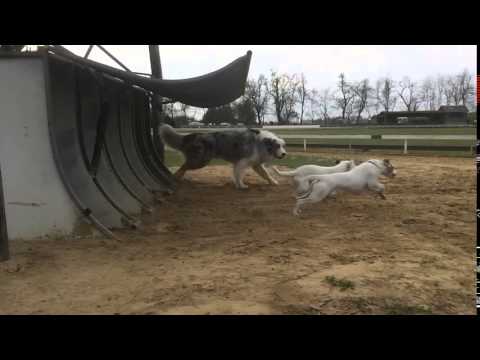 Slow motion Zuko start