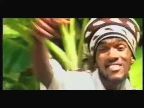 Matinda di lion - Hailé I - Dancehall news