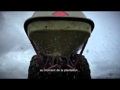 Dale French v2 20160413