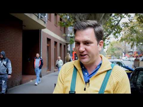 Mi kell a Mester utcai platánoknak? - A fák helyett válaszol: Megyeri Szabolcs, főkertész