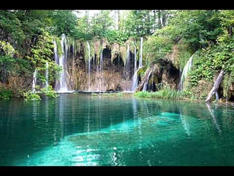 Odakle Se Cisti Riba - Prava Kotka