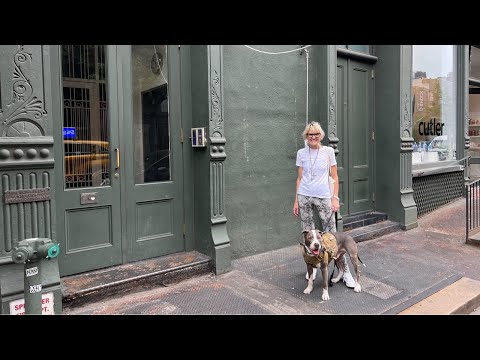 New York City LIVE Exploring SoHo Cast Iron Architecture in Manhattan Tour w/Hudson May 13, 2023