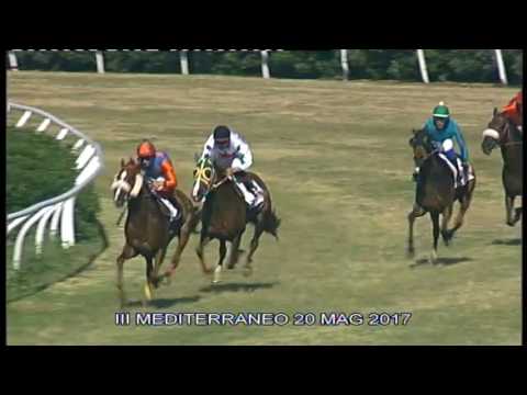 Galoppo Corse del 20 Maggio 2017