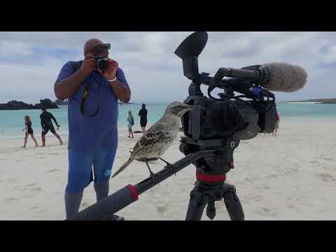 GROSVENOR TEACHER FELLOWS - GALAPAGOS