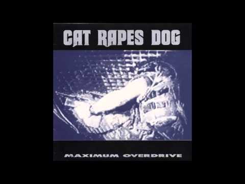Cat Rapes Dog Motorhead