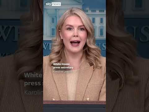 Afghan community's fears for fresh US deportation push